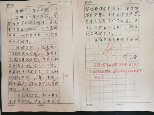 我做了一项小实验三年级作文