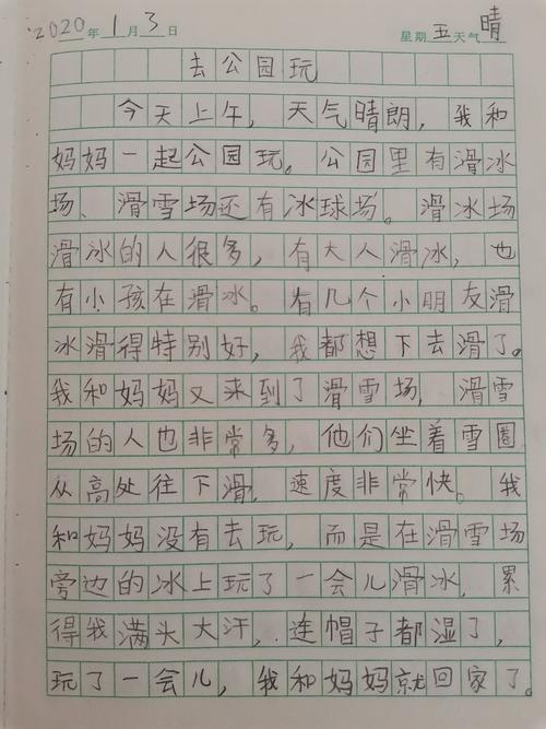 寒假日记三十篇