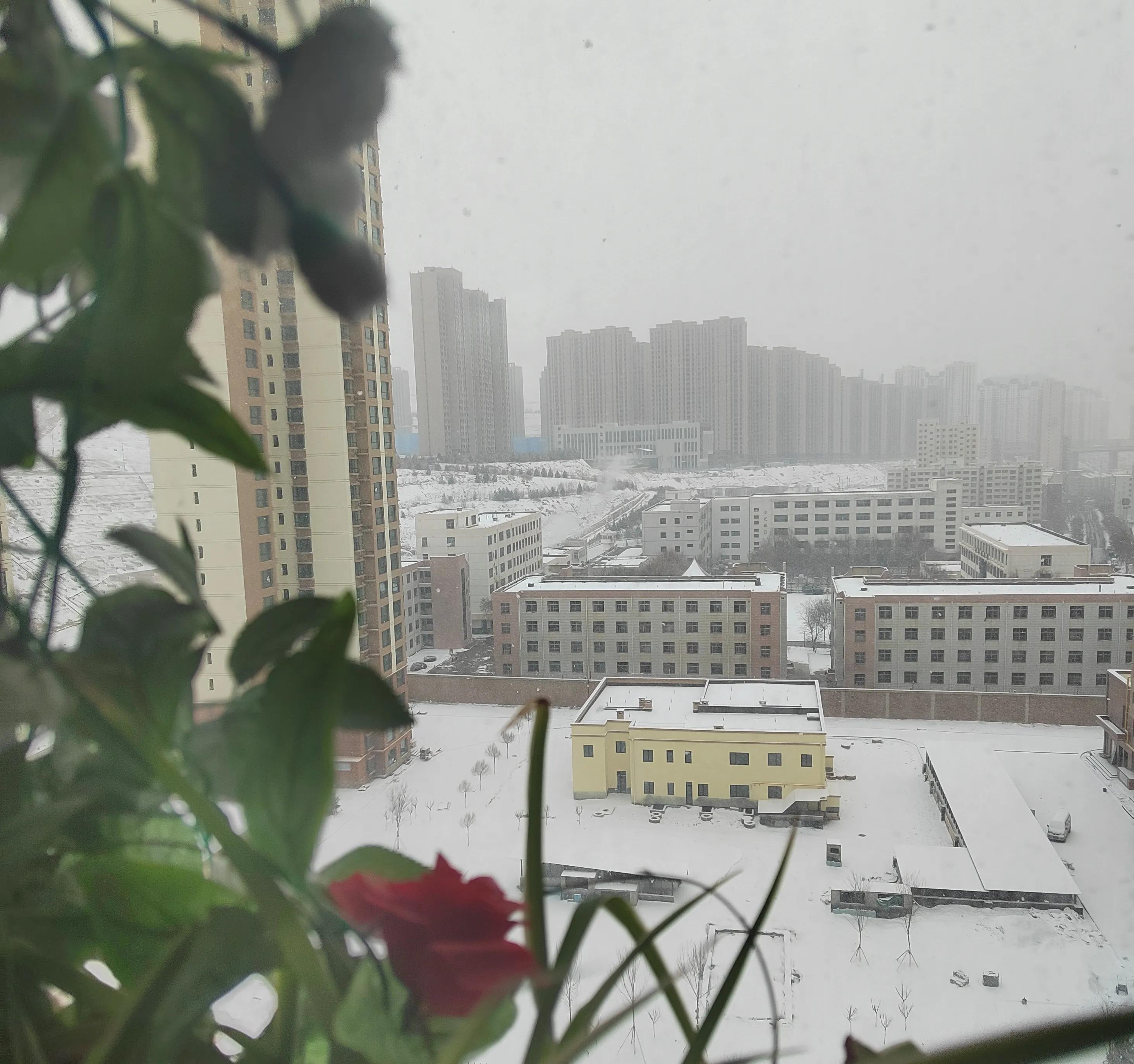 晶莹剔透的雪花