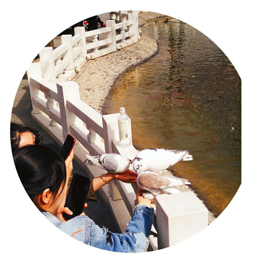 “琴瑟在御，岁月静好”唯美的句子配上唯美的图总有一个戳中你心