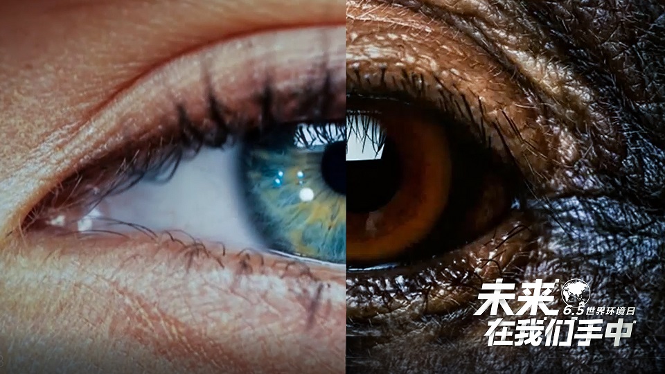 未来，在我们手中