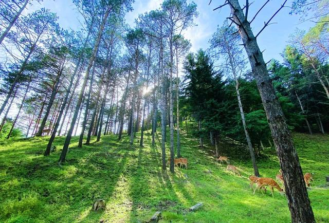家乡的春夏秋冬(家乡的春夏秋冬西瓜视频主页)（家乡春夏秋冬（家乡春夏秋冬西瓜视频主页）文章) 