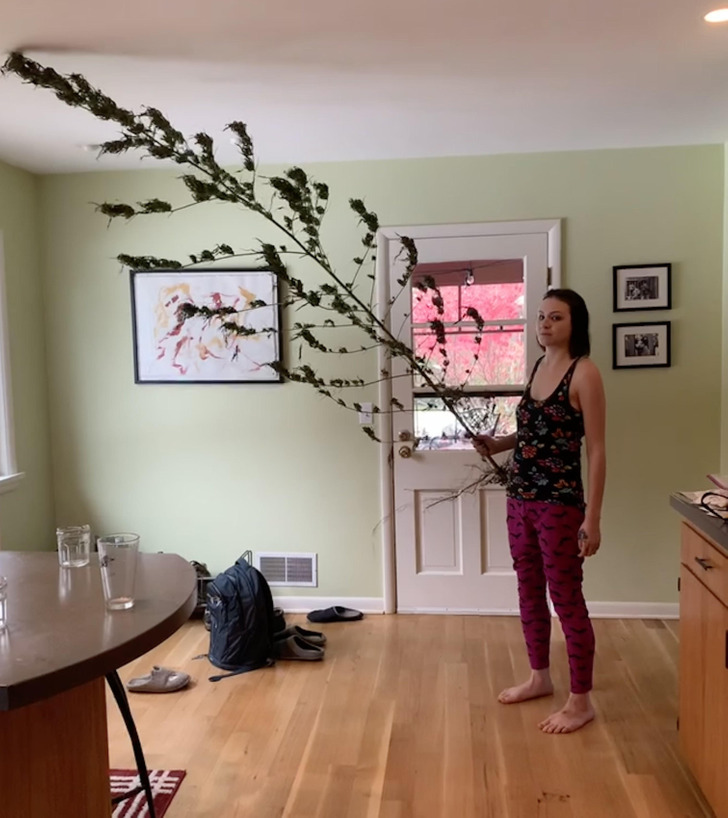 12 次大自然感到无聊并决定大显身手