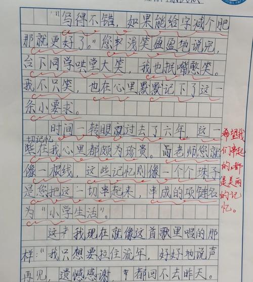 身边有特点的人作文评语