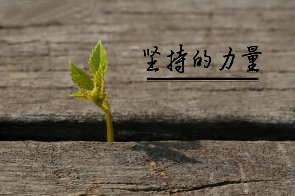 作文 坚持(作文坚持让我走出困境)（关于坚持的作文（关于坚持的作文让我摆脱了困境）文章)