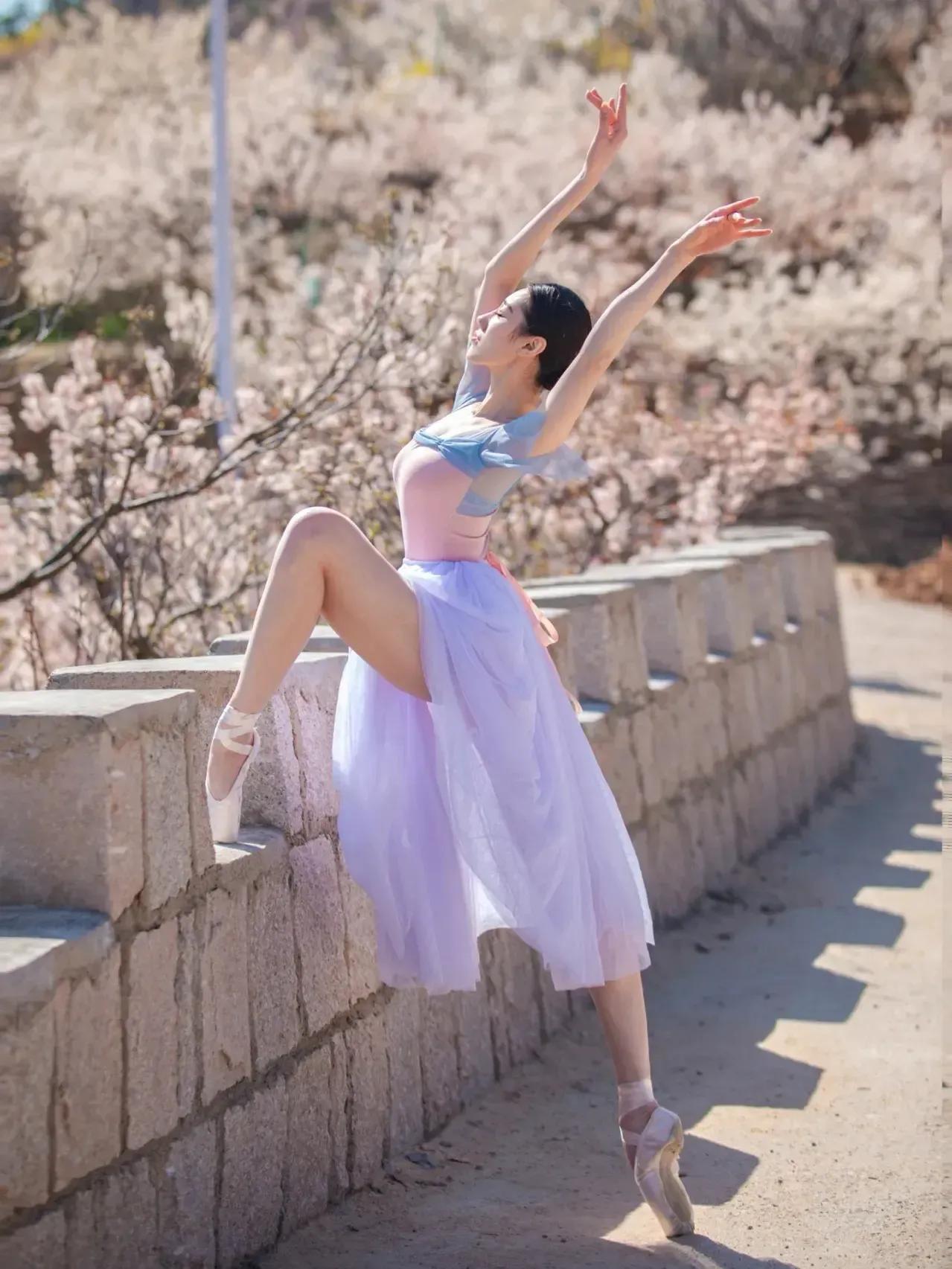 芭蕾写真|樱花树下的约定