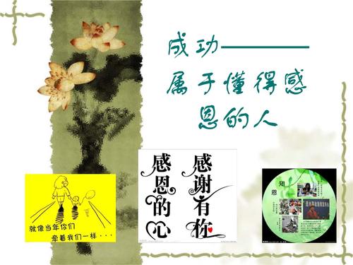 你是我最感激的人