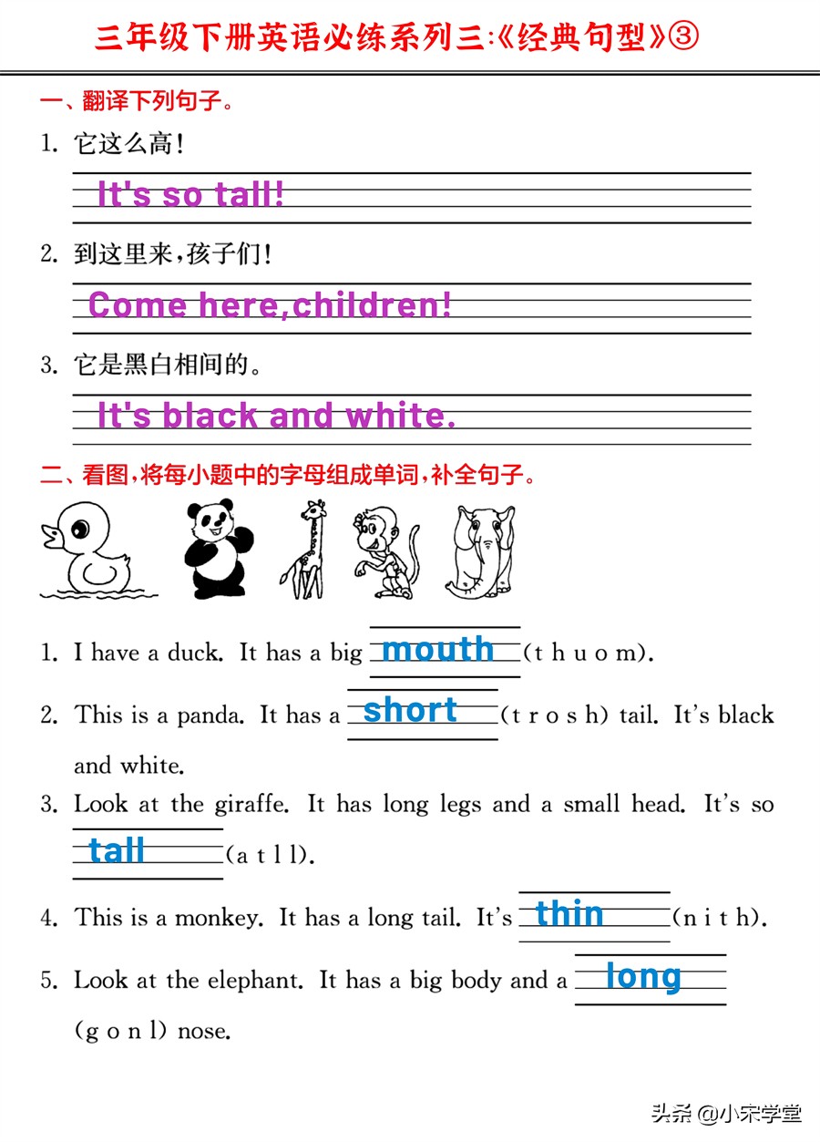 22春新!三年级下英语《重点单词+核心短语+经典句型》必练密卷