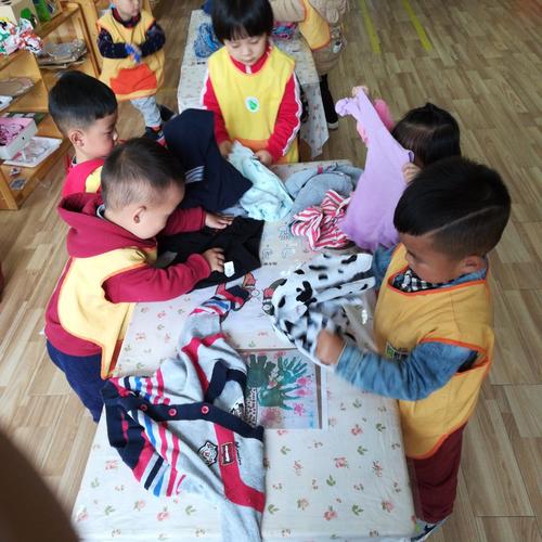 我的小手真能干(我的小手真能干活动反思)（我的小手真能干（反思我的小手真能干）文章)