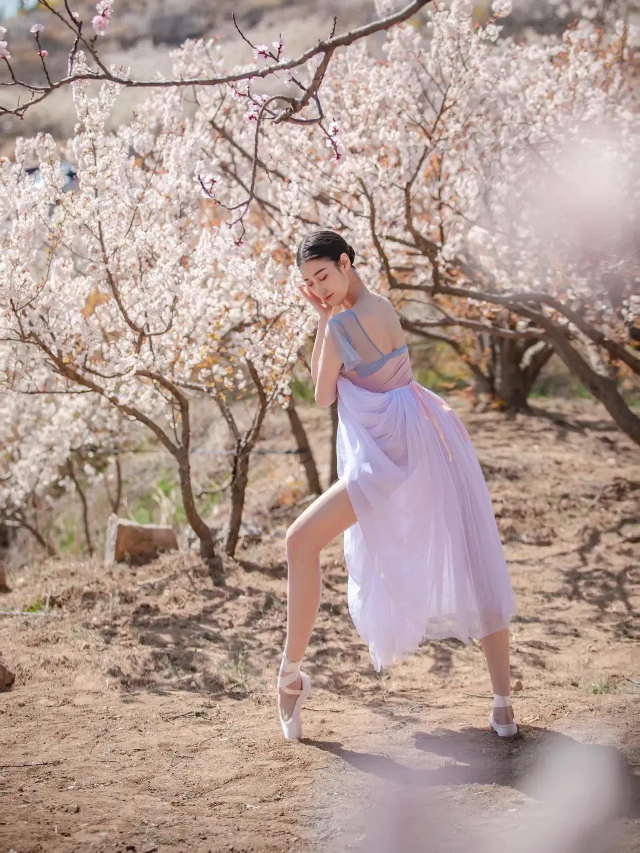 芭蕾写真|樱花树下的约定