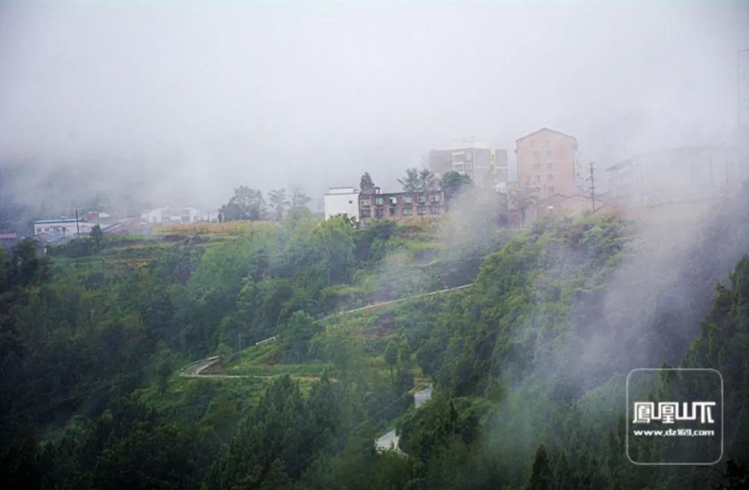 陕西礼泉作家韩武荣深情美文《秋雾》