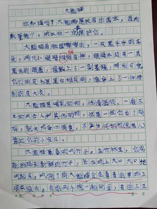 关于熊猫的资料三年级下册