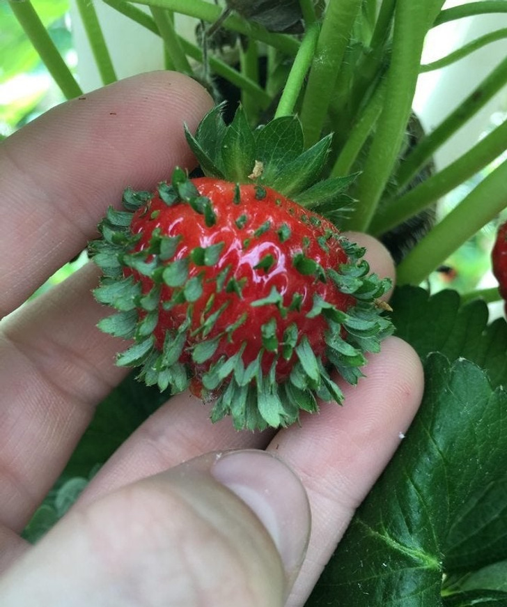 12 次大自然感到无聊并决定大显身手