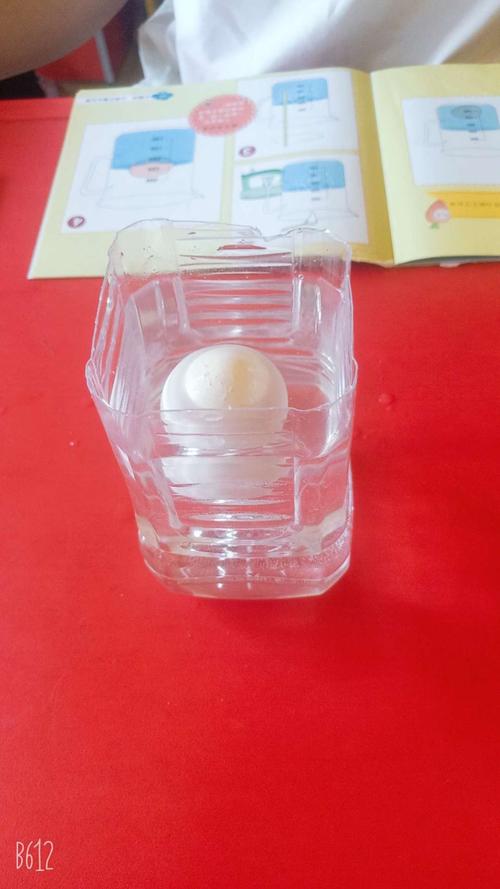 小实验科学小实验(小实验科学小实验鸡蛋飘起来)（小实验科学小实验（小实验科学小实验鸡蛋浮起来）文章)