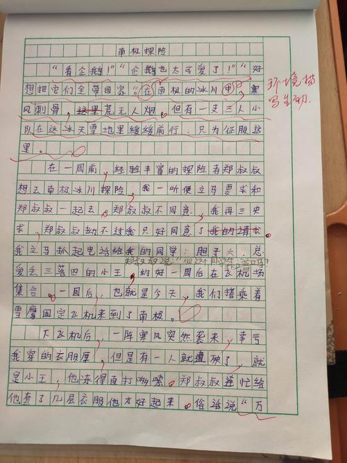 神奇的探险之旅500字作文