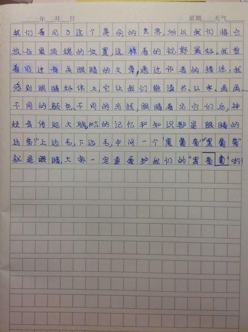 关于五官的作文