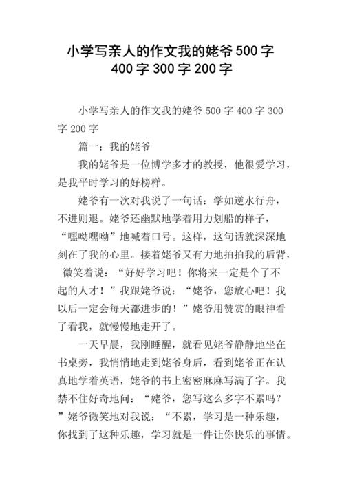 什么的我作文400字