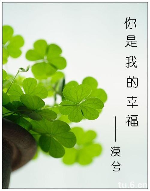 你是我的幸福(你是我的幸福英文)（你是我的幸福（你是我的幸福英语）文章)