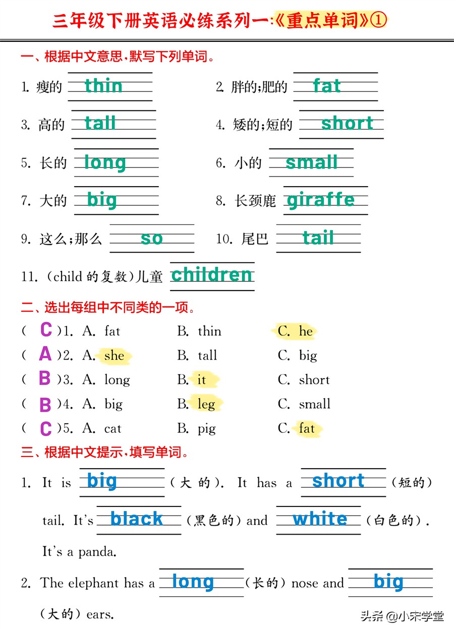 22春新!三年级下英语《重点单词+核心短语+经典句型》必练密卷
