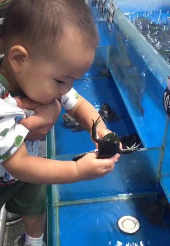 小学生作文《不要妹妹》：老师看后笑得手抖，妈妈看了想打人