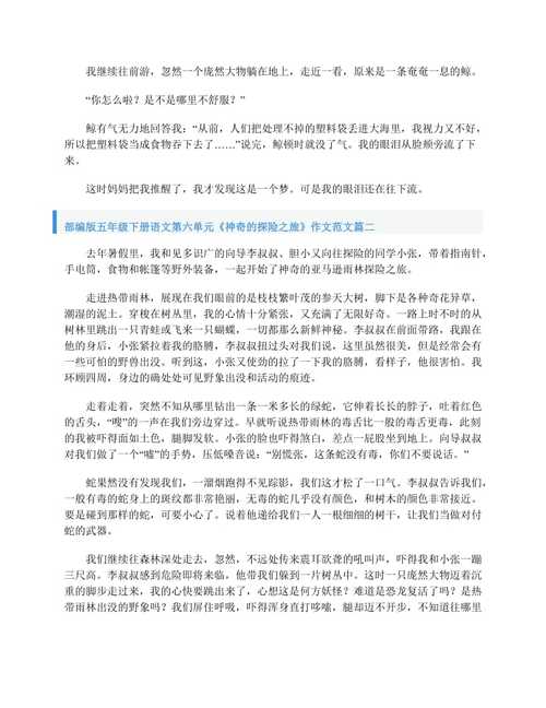 五年级神奇的探险之旅450字