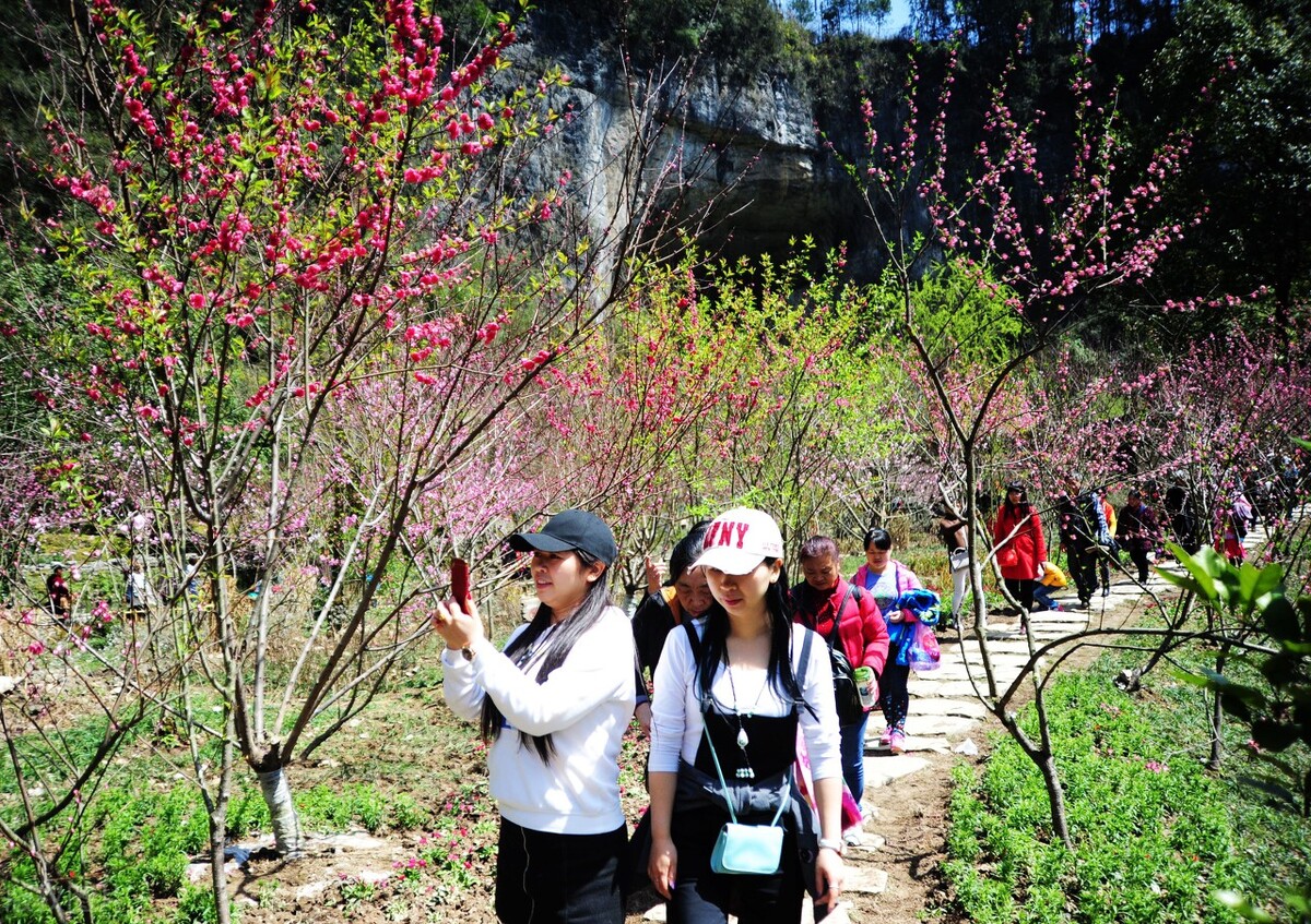 我心中的桃花源