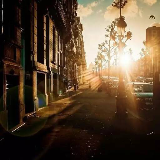 「新诗采撷」唐硕|又见雾来(外六首)