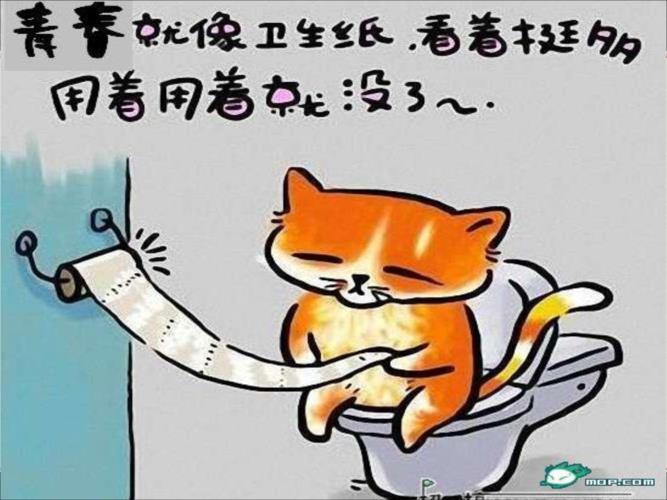 知其不可而为之