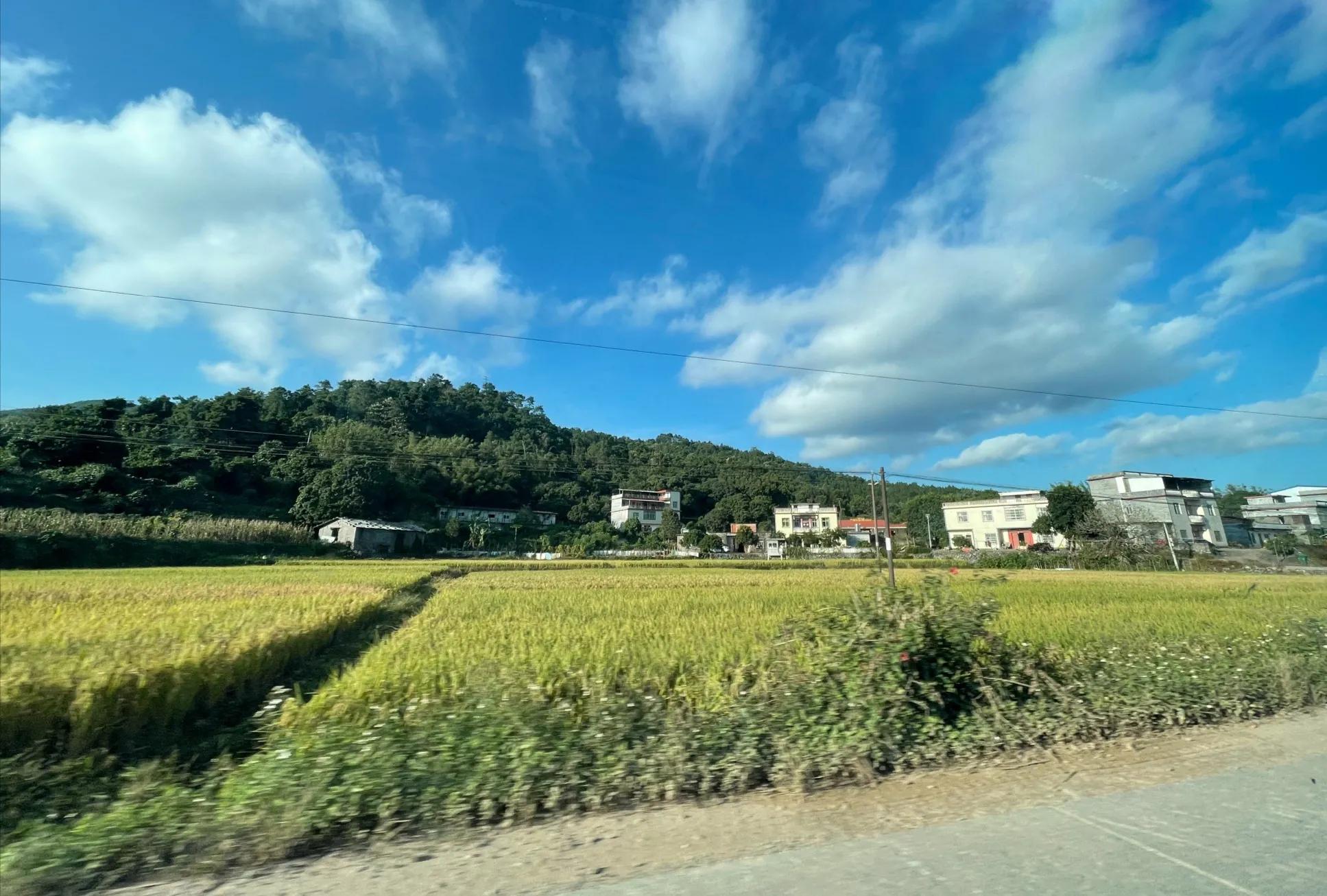 决赛一等奖作文《祖国如诗》,开头绝了,清新脱俗