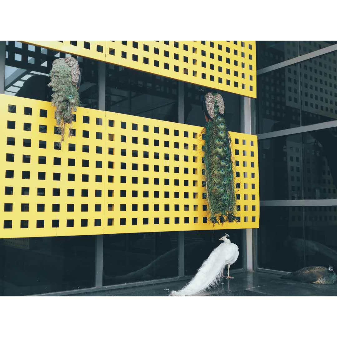 “琴瑟在御，岁月静好”唯美的句子配上唯美的图总有一个戳中你心