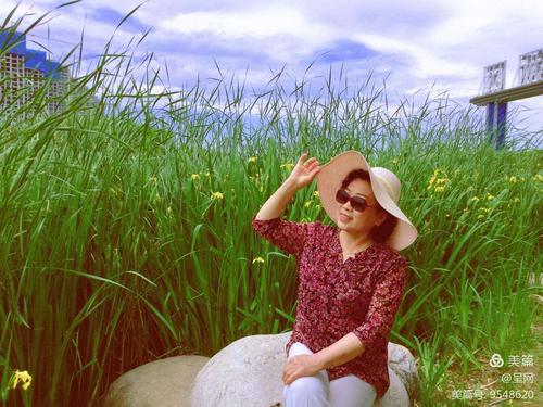 拨动了我的心弦