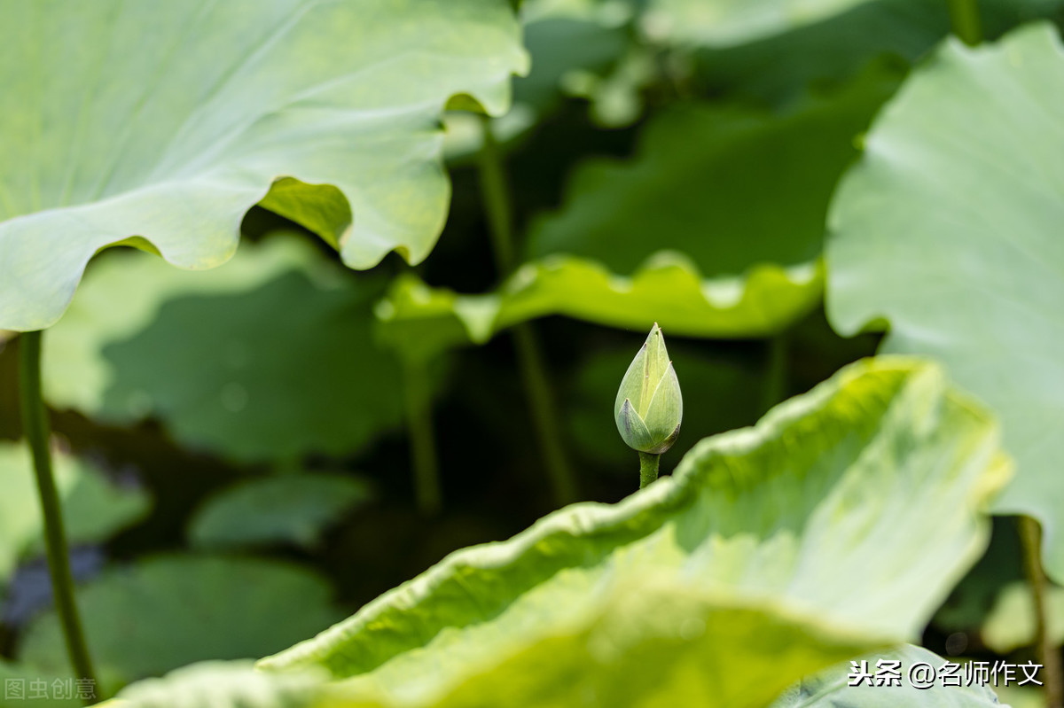 小学二年级小朋友的看图作文：下雨啦
