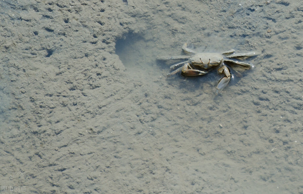 《童年趣事》作文怎么写?看语文老师给你写一篇满分范文