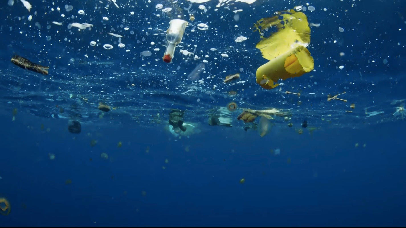 一只领航鲸妈妈的自白