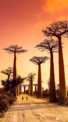 一个纯粹的人(做一个正直的人一个纯粹的人)（一个纯洁的人（做一个正直的人，一个纯洁的人）文章) 