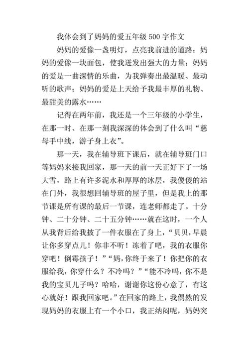 我的妈妈作文500字