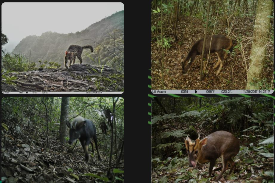 国际生物多样性日丨保护生物多样性，韶关这样做