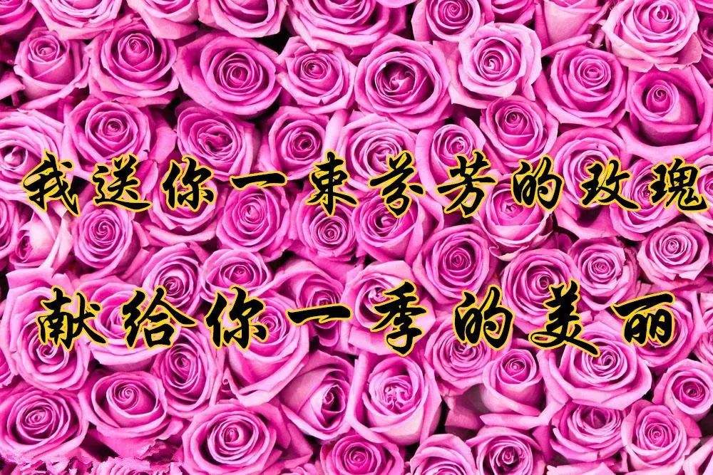 六年级八单元作文《有你,真好》,生活因你而美好,家因你最幸福