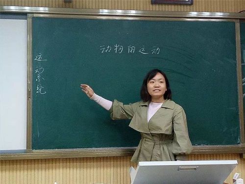 老师的品质(好老师的品质)（老师的素质（好老师的素质）文章) 