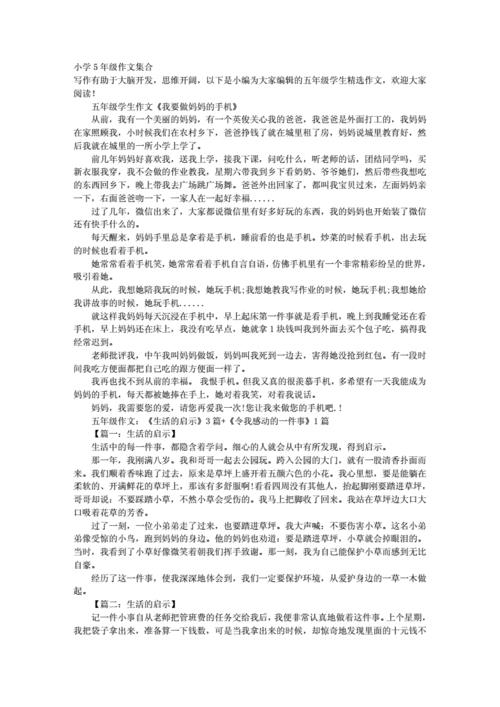 小学5年级作文