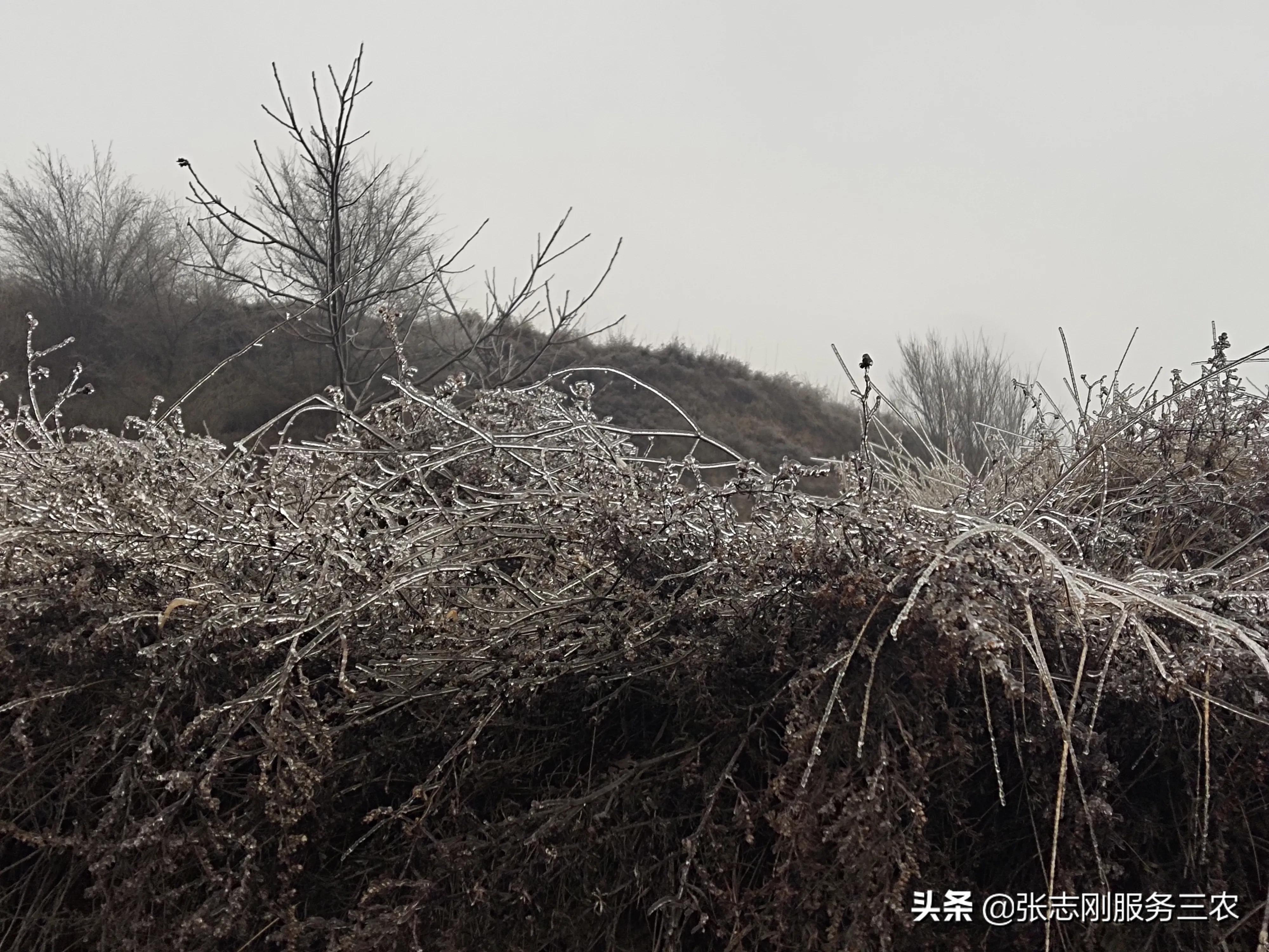 西北农村山区一个贫困孩子家长，写给xxx老师的自我检讨书