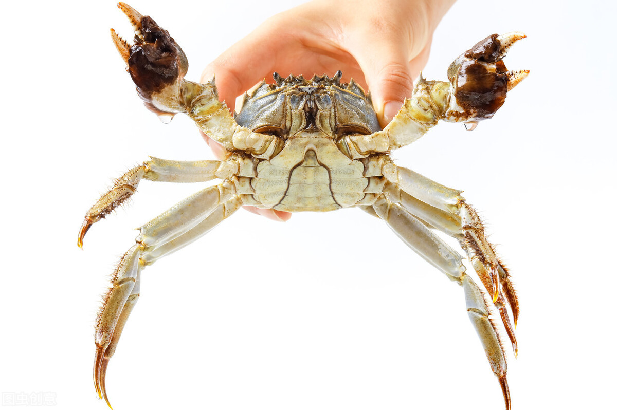 《童年趣事》作文怎么写?看语文老师给你写一篇满分范文