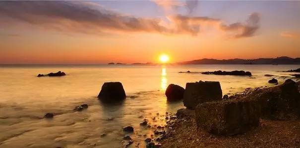 「新诗采撷」唐硕|又见雾来(外六首)