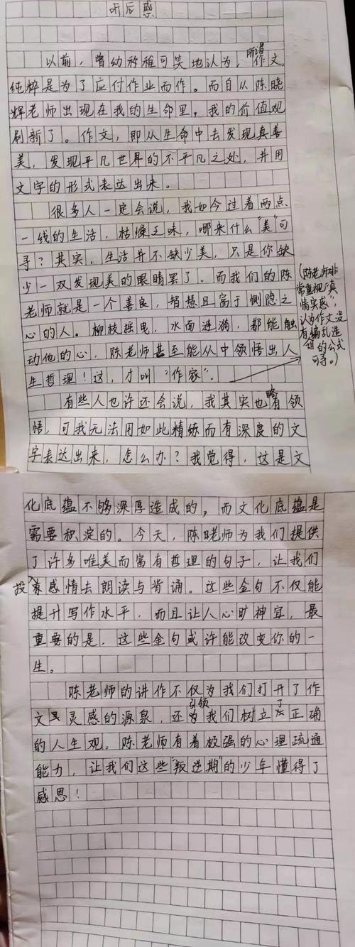 美育作文800字议论文高中(关于美育的高考优秀作文)（高中美育作文800字议论文（美育优秀高考作文）文章) 