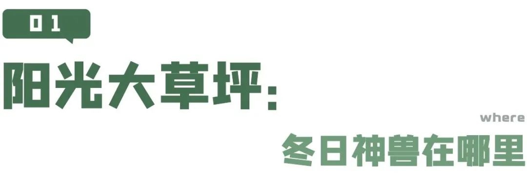 冬季晒太阳的好地方,我只告诉你