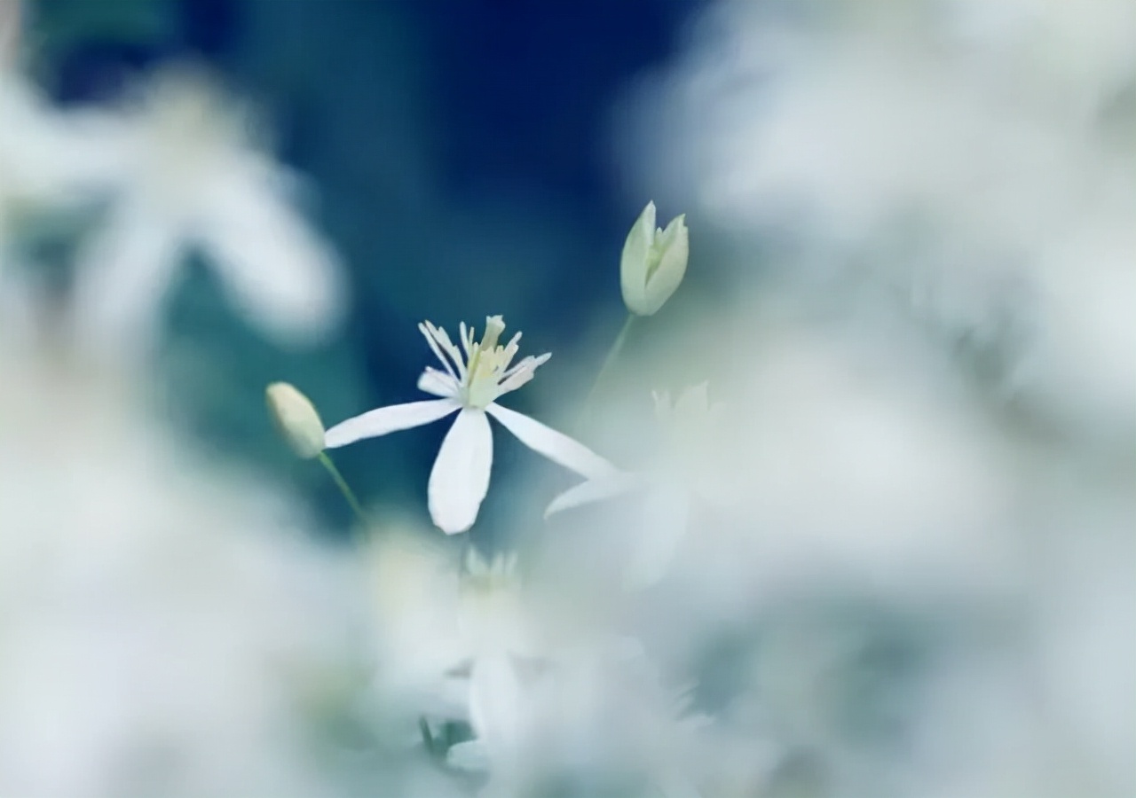 珍惜 作文(珍惜作文500字)（珍惜作文（珍惜作文500字）文章) 