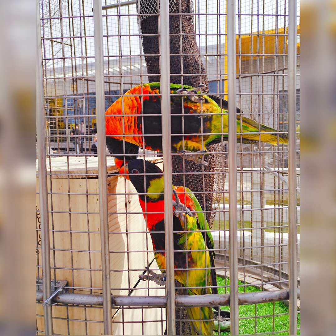 “琴瑟在御，岁月静好”唯美的句子配上唯美的图总有一个戳中你心