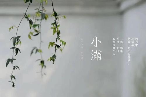 人生最好是小满