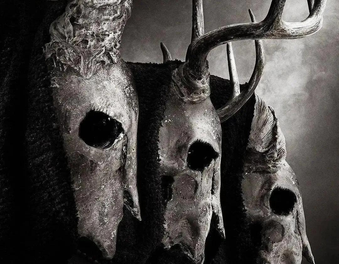 神奇的书签(神奇的书签作文)（神奇书签（神奇书签作文）文章) 