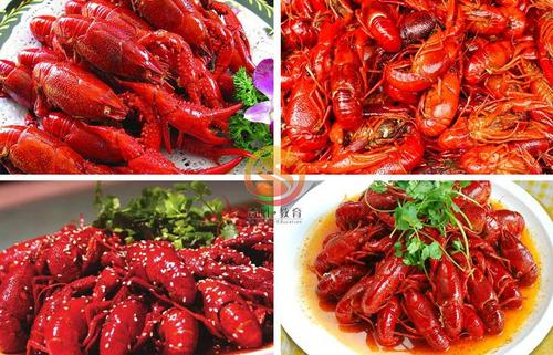 小龙虾学名(小龙虾的品种和分类)（小龙虾的学名（小龙虾的品种和分类）文章) 